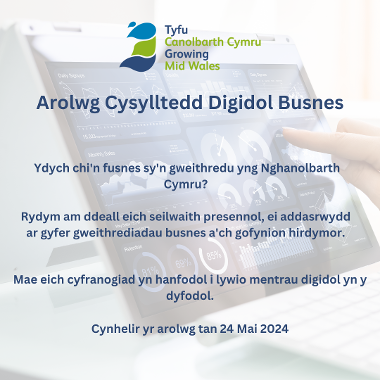 Business Digital Connectivity Survey Welsh