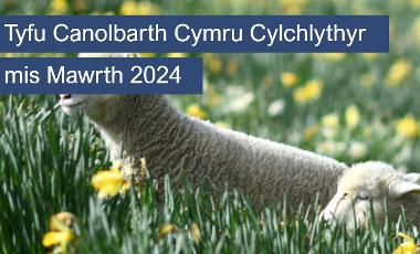 Clawr Cylchlythyr Tyfu Canolbarth Cymru mis Mawrth 2024