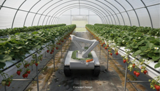 Neurabotics Ltd 1